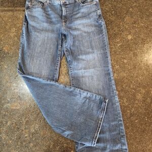 Lane Bryant Dark Blue Denim Jeans